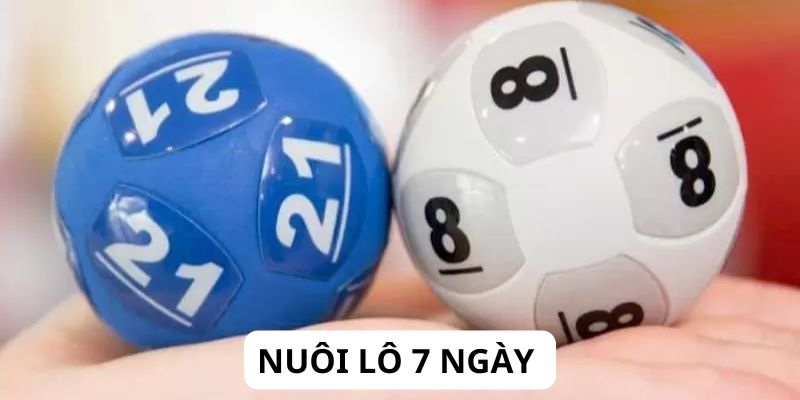 Nuôi Lô 7 Ngày - Cách Chơi Xổ Số Chuẩn Bài Của Chuyên Gia U888 2 3 phương thức nuôi lô chuẩn chuyên gia hàng đầu