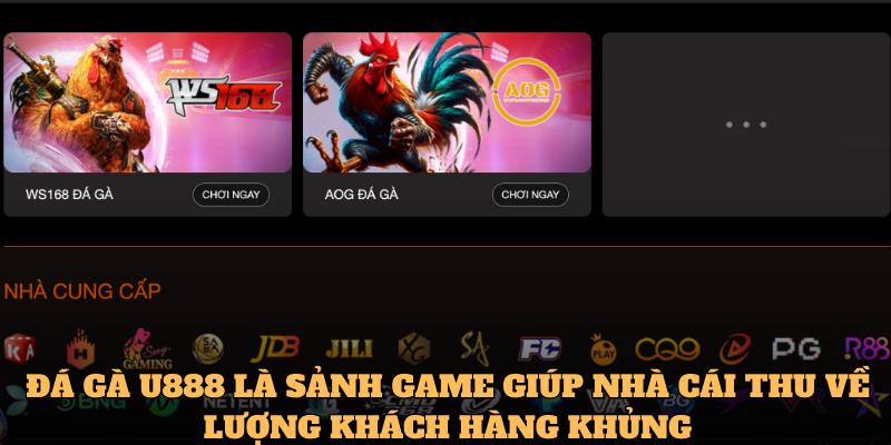 Đá gà U888 là sảnh game giúp nhà cái thu về lượng khách hàng khủng