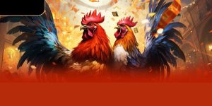 anh dai dien da ga cua dao philippines