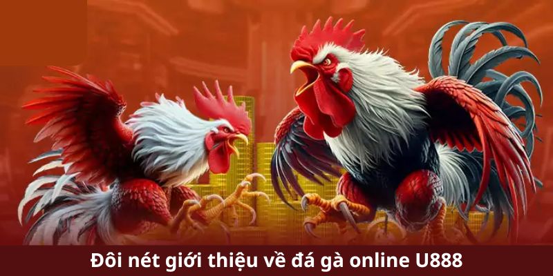 Đôi nét giới thiệu về đá gà online U888