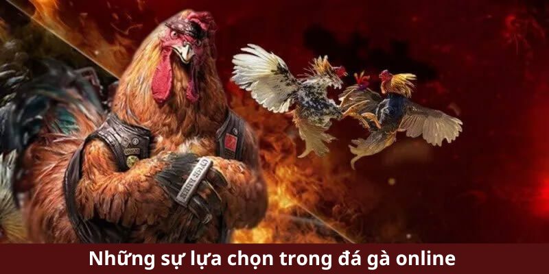 Đá Gà Online - Nơi Hội Tụ Trận Đấu Gay Cấn, Thưởng Cực Lớn 3 Những sự lựa chọn trong chọi kê trực tuyến