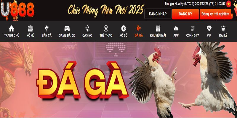 U888 - Sân Chơi Đá Gà Cựa Dao Philippines xanh chín, chất lượng 2 Trang chủ chơi đá gà cựa dao Philippines tại U888